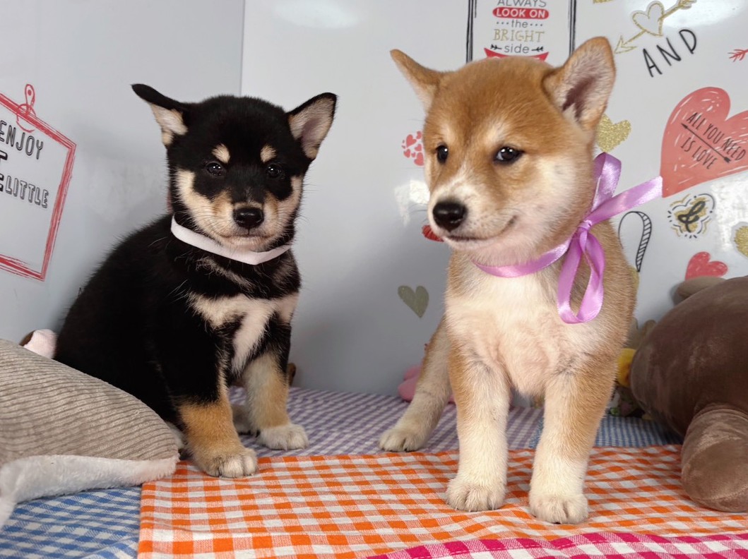 赤ちゃん写真2-3