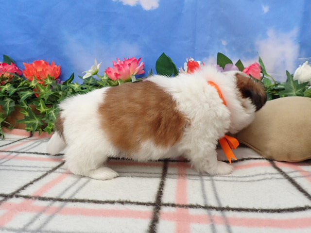 赤ちゃん写真3-2