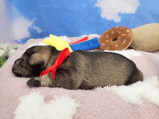 赤ちゃん写真1-2