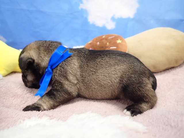 赤ちゃん写真1-2