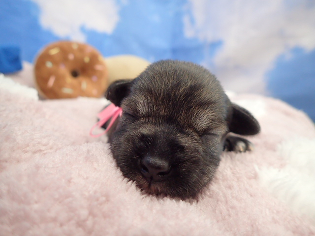 赤ちゃん写真1-1