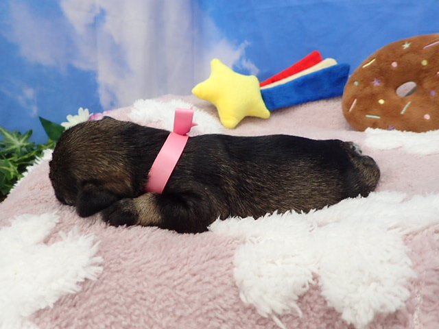 赤ちゃん写真1-2