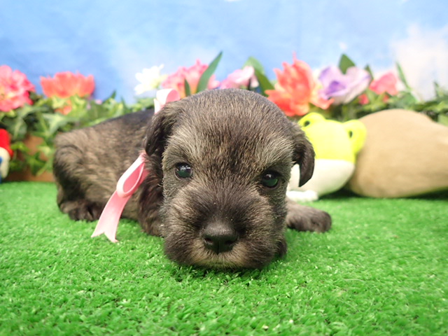 赤ちゃん写真2-1