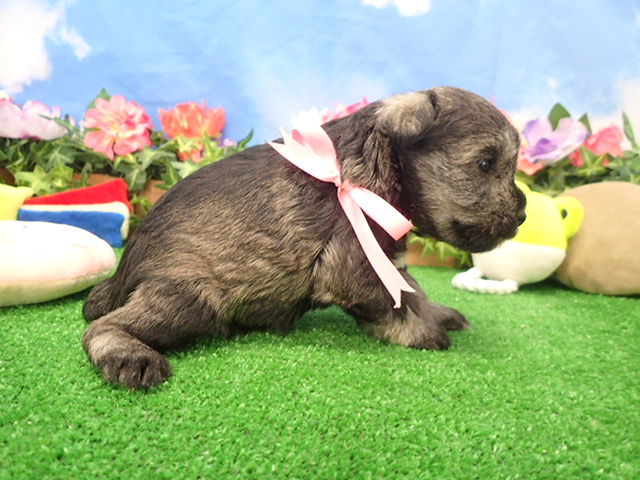 赤ちゃん写真2-2