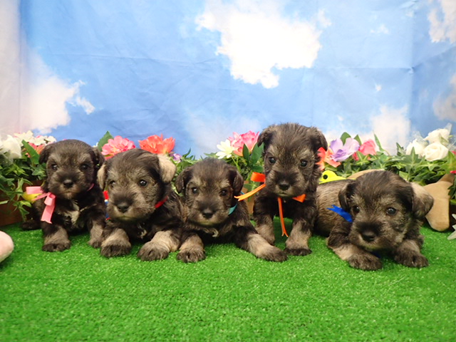 赤ちゃん写真2-3