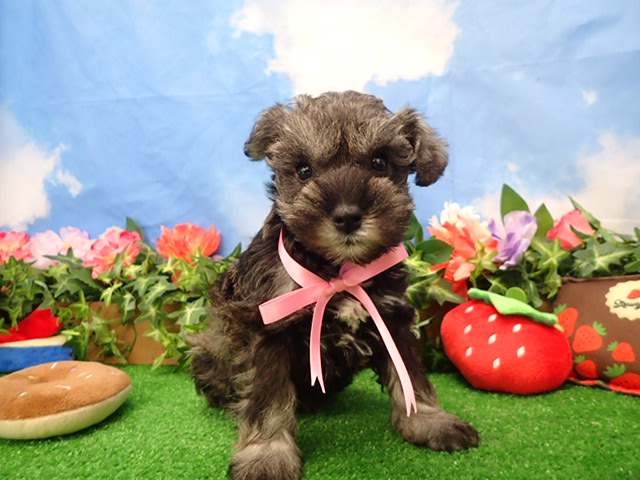 赤ちゃん写真3-1