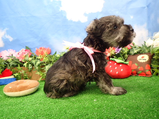 赤ちゃん写真3-2