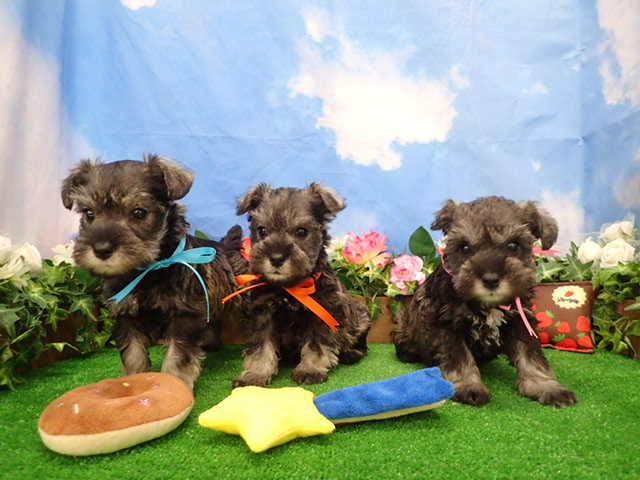 赤ちゃん写真3-3