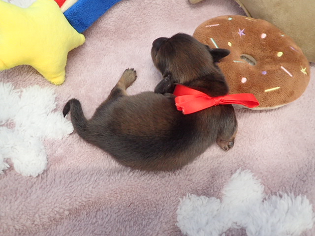 赤ちゃん写真1-3