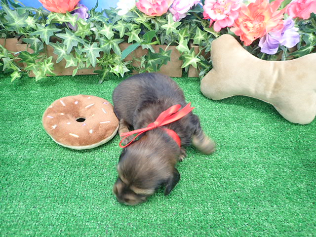 赤ちゃん写真2-3