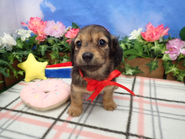 赤ちゃん写真3-1