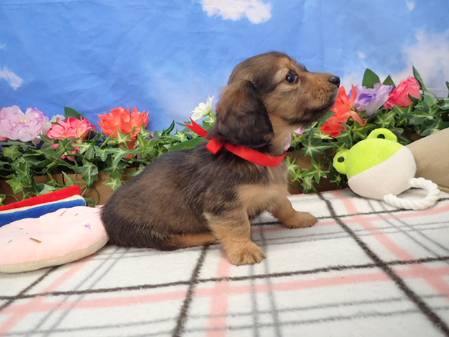 赤ちゃん写真3-2