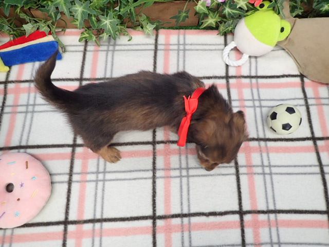 赤ちゃん写真3-3