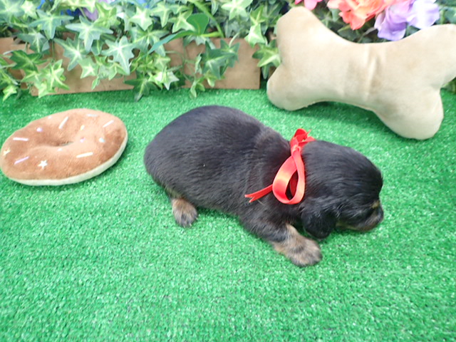 赤ちゃん写真2-3