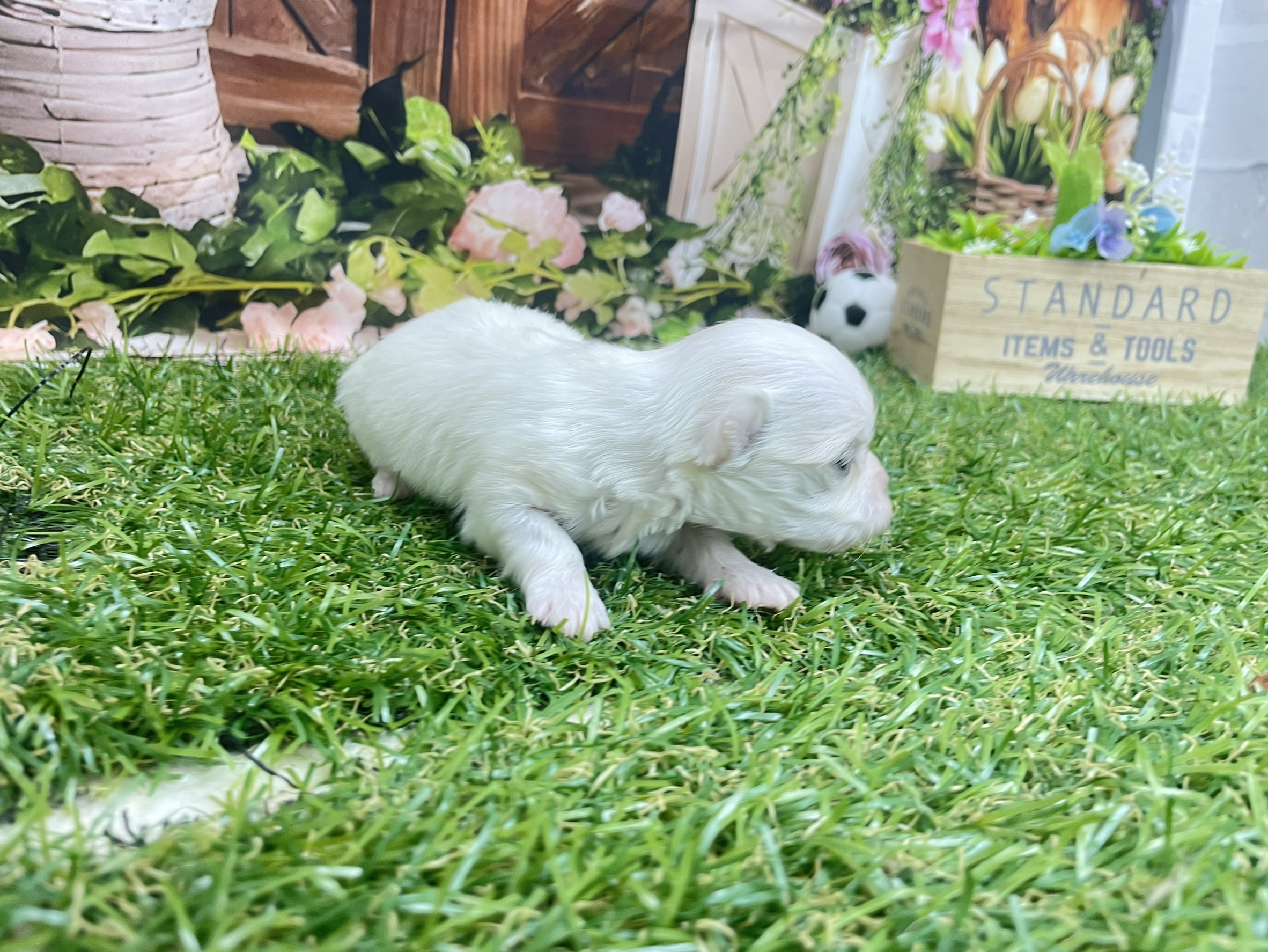 赤ちゃん写真1-3