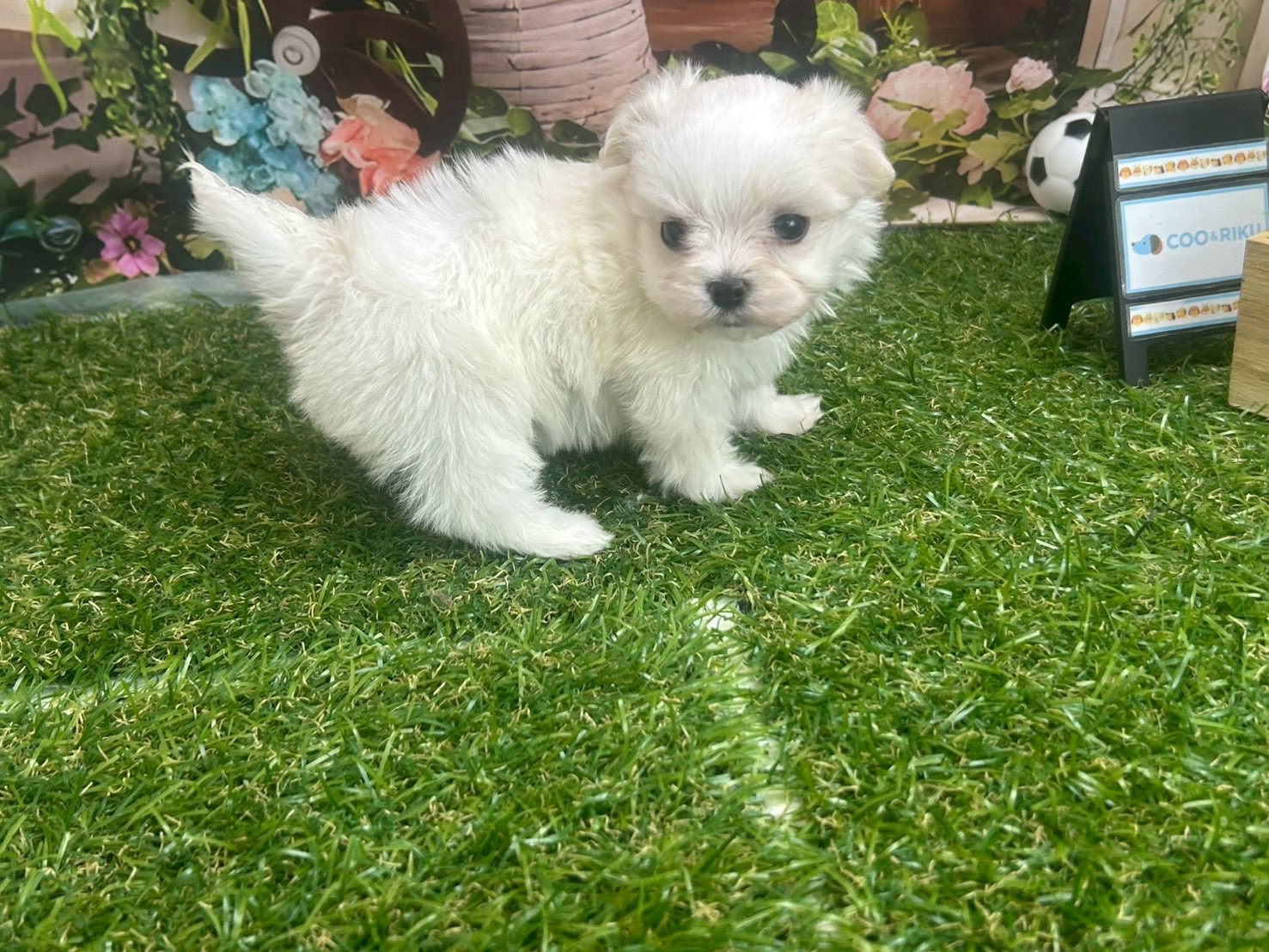 赤ちゃん写真2-2