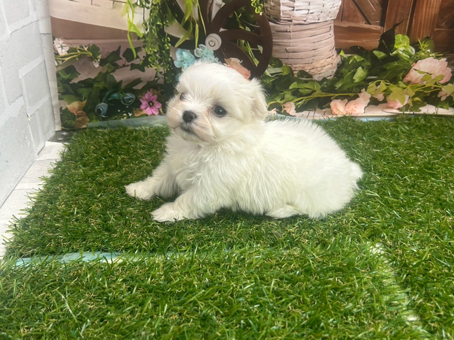 赤ちゃん写真2-3