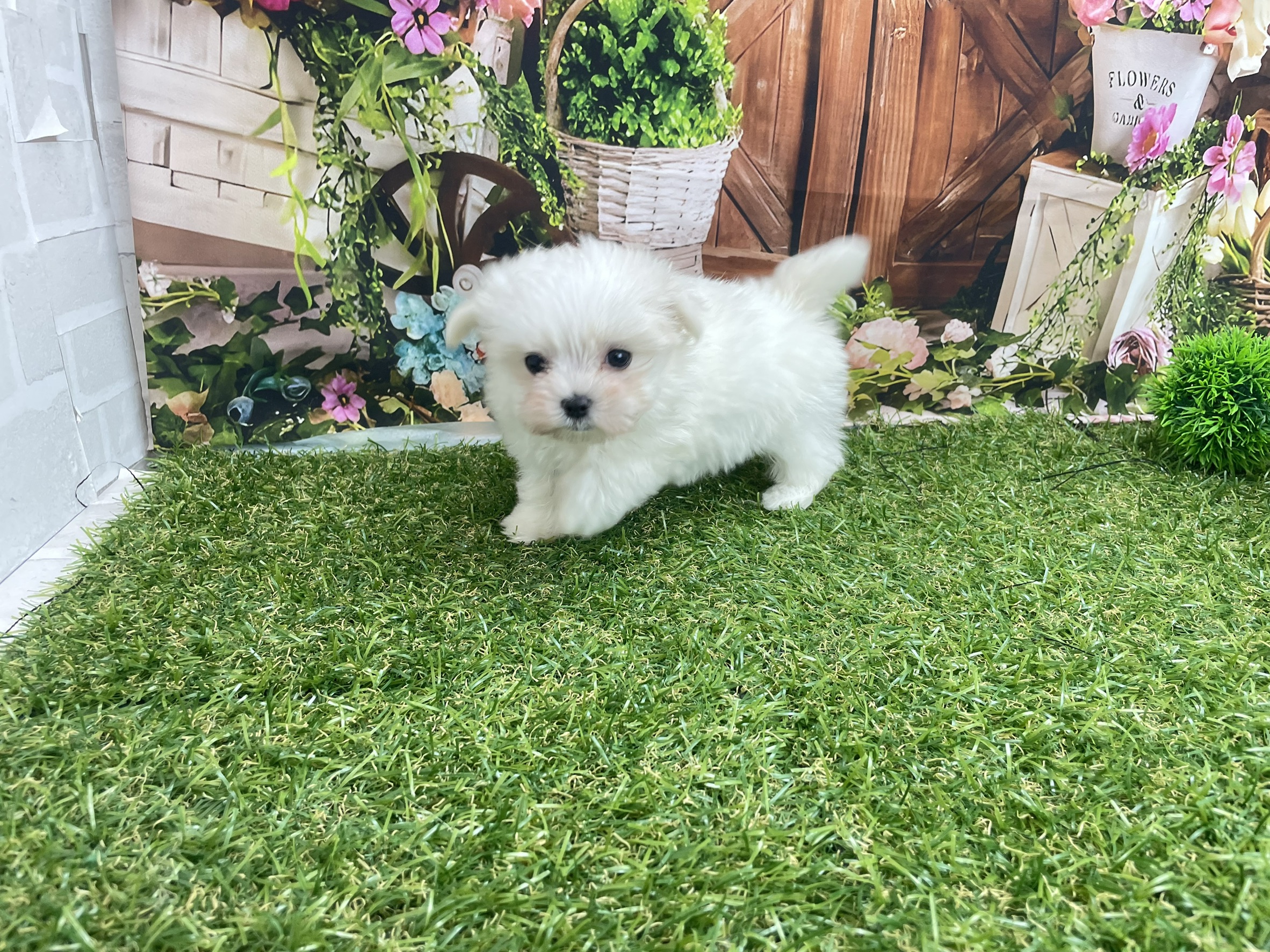 赤ちゃん写真3-2