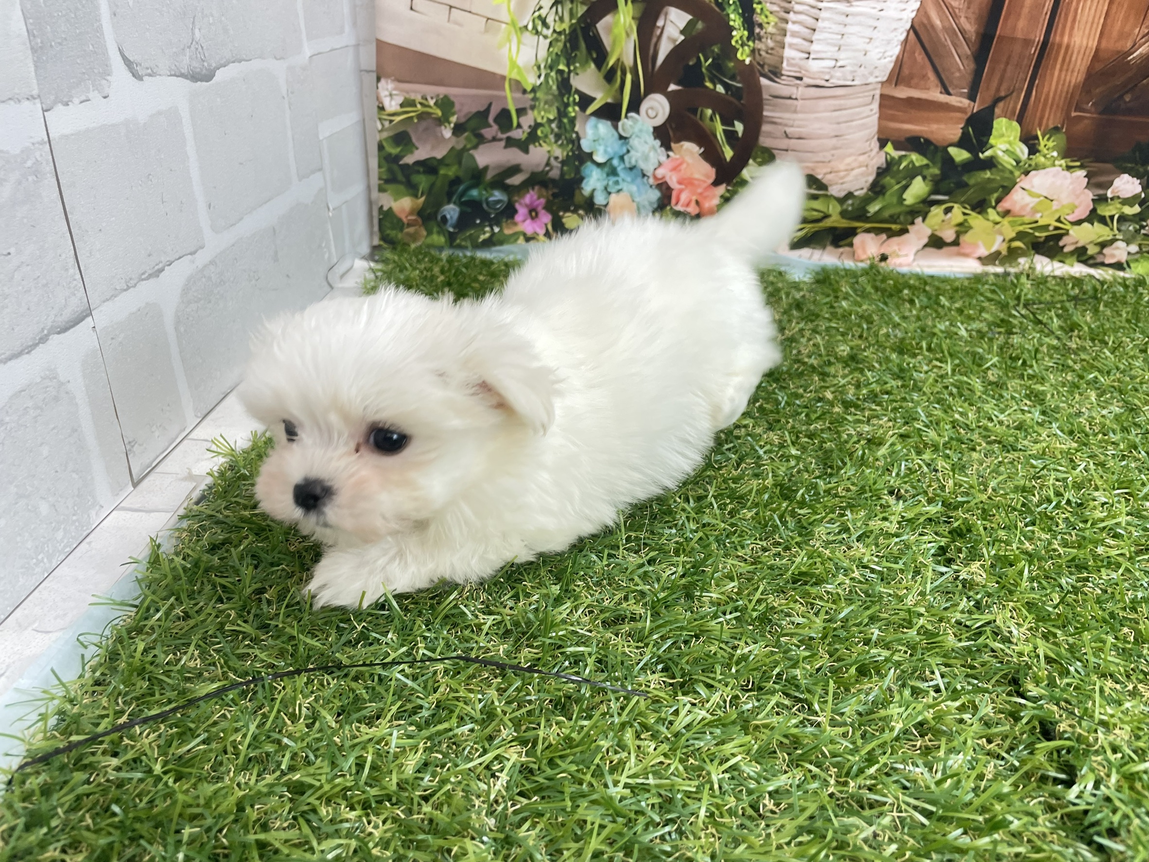 赤ちゃん写真3-3