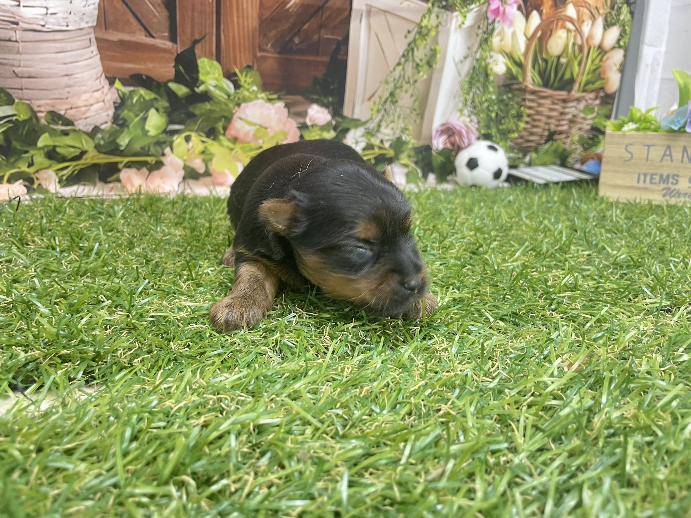 赤ちゃん写真1-2