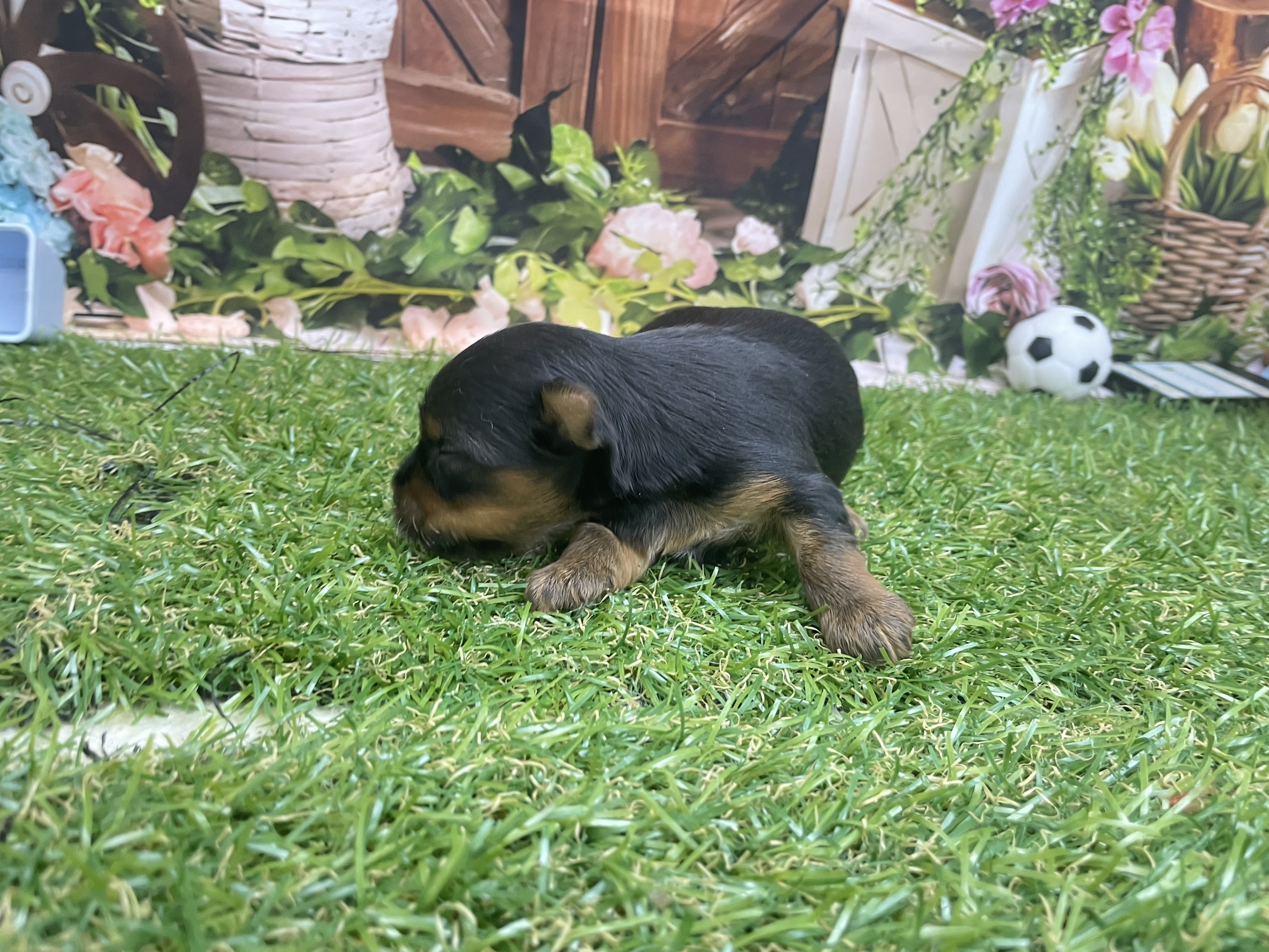 赤ちゃん写真1-3