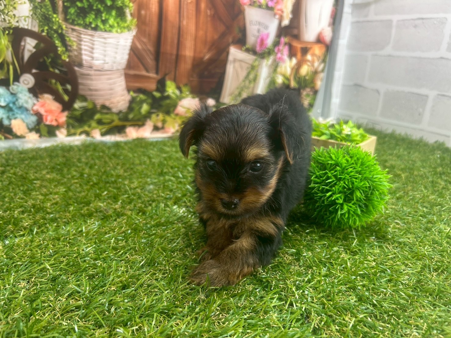 赤ちゃん写真2-1