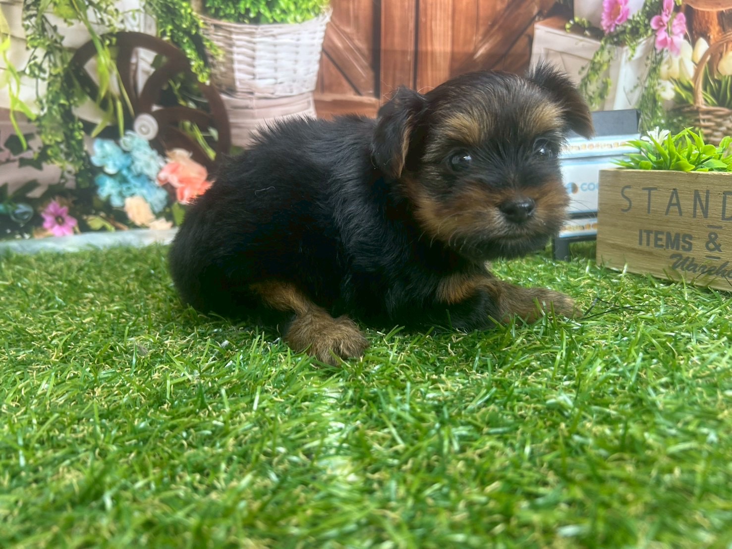 赤ちゃん写真2-2