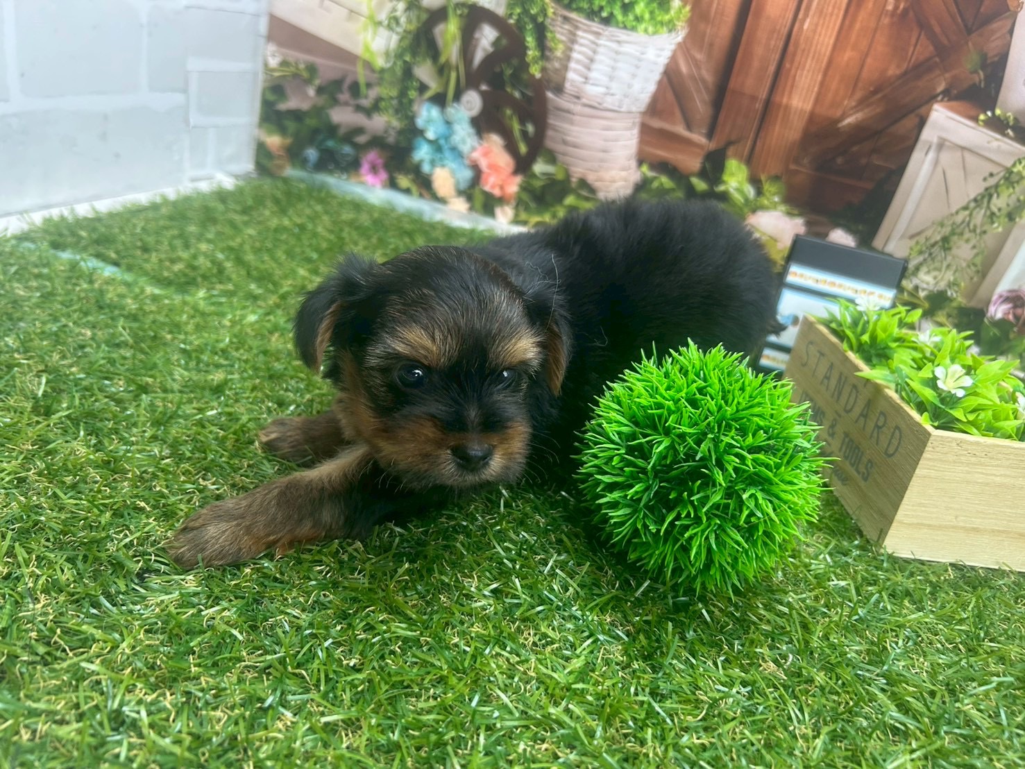 赤ちゃん写真2-3