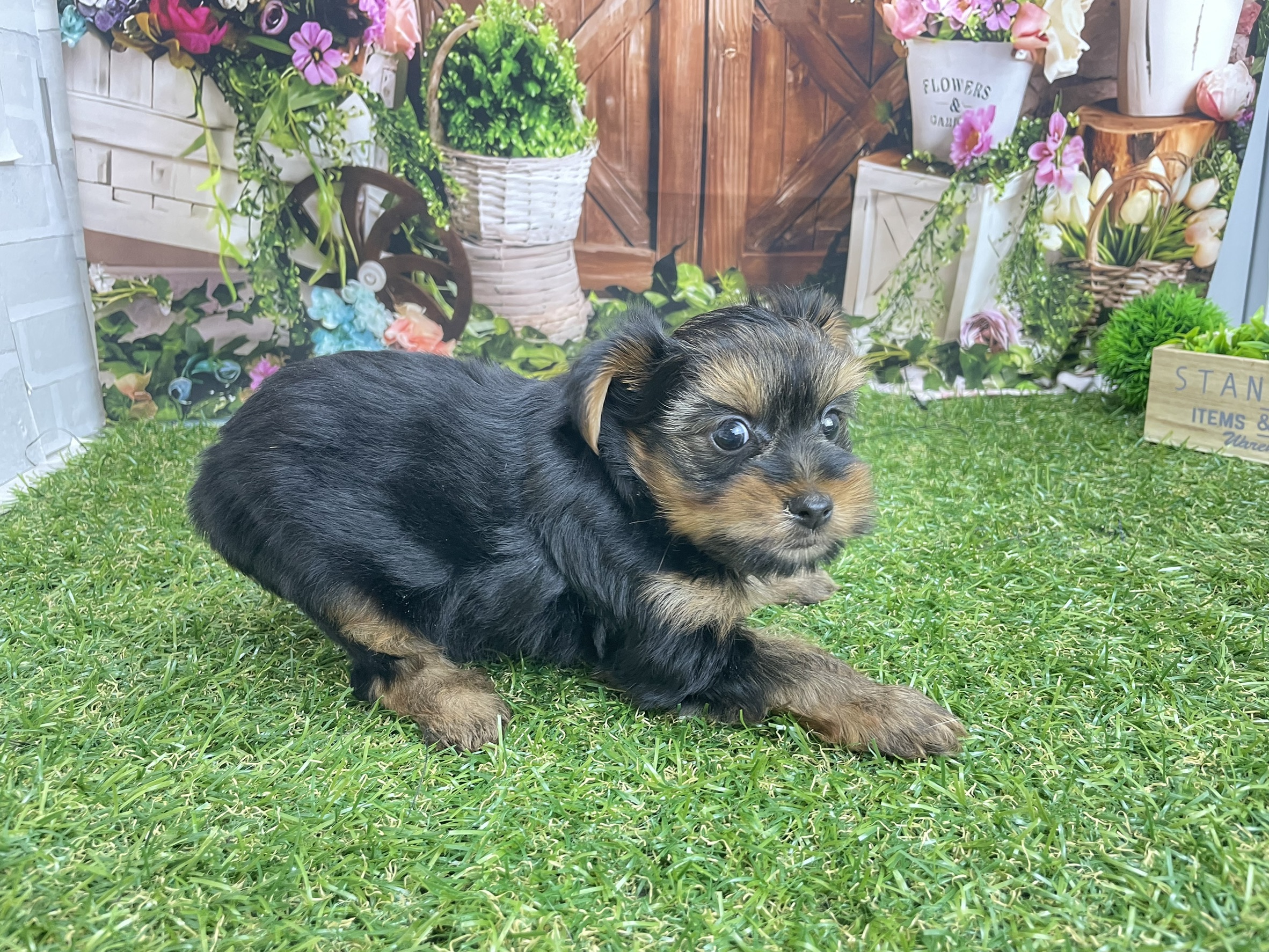 赤ちゃん写真3-2