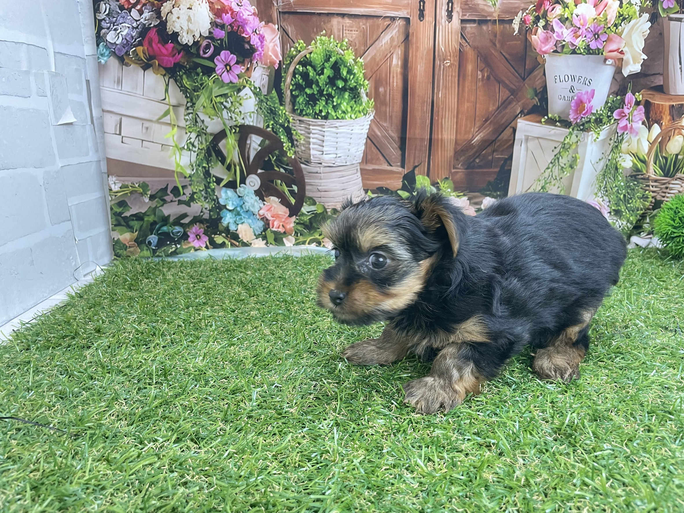 赤ちゃん写真3-3