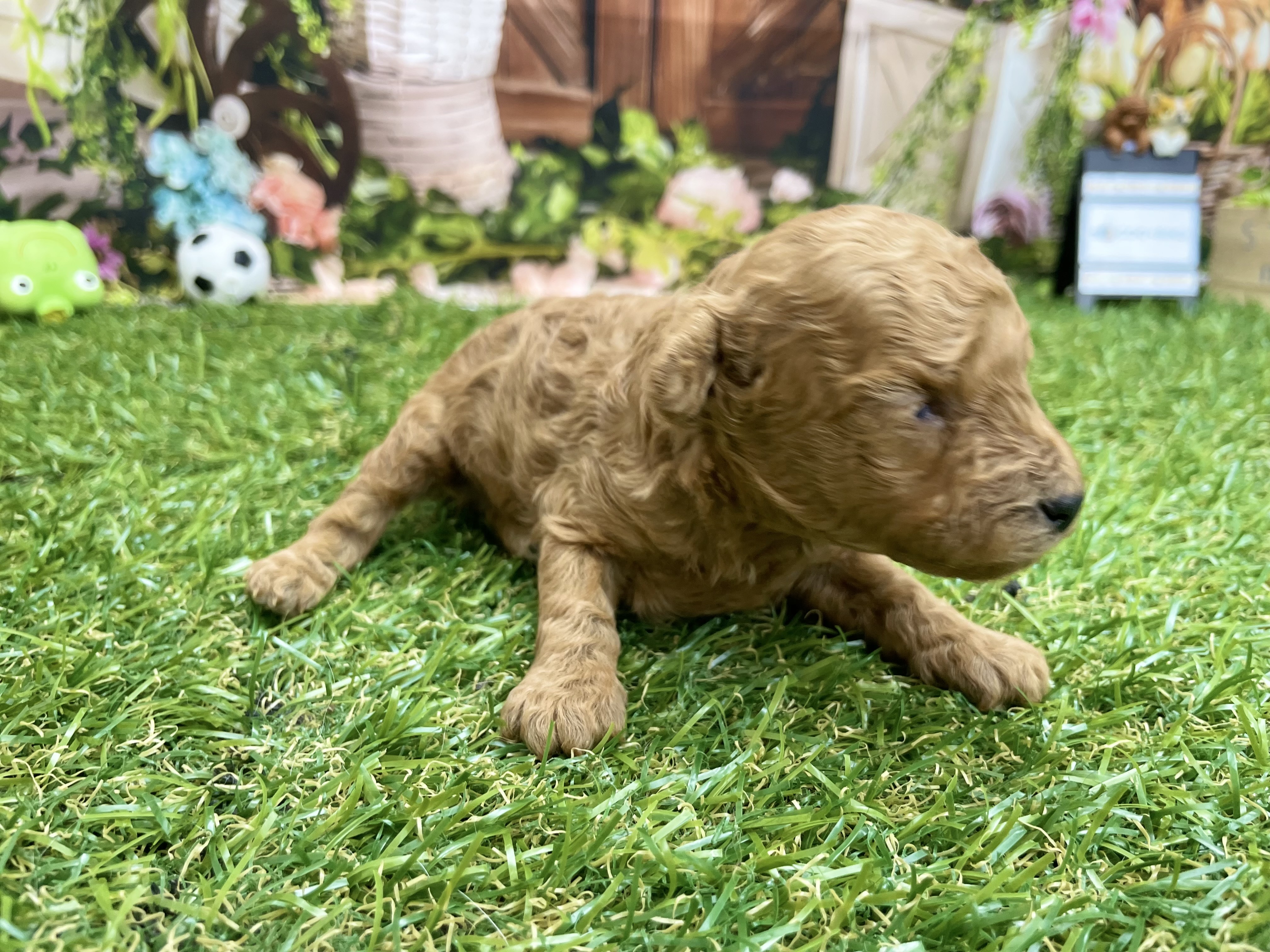 赤ちゃん写真1-1