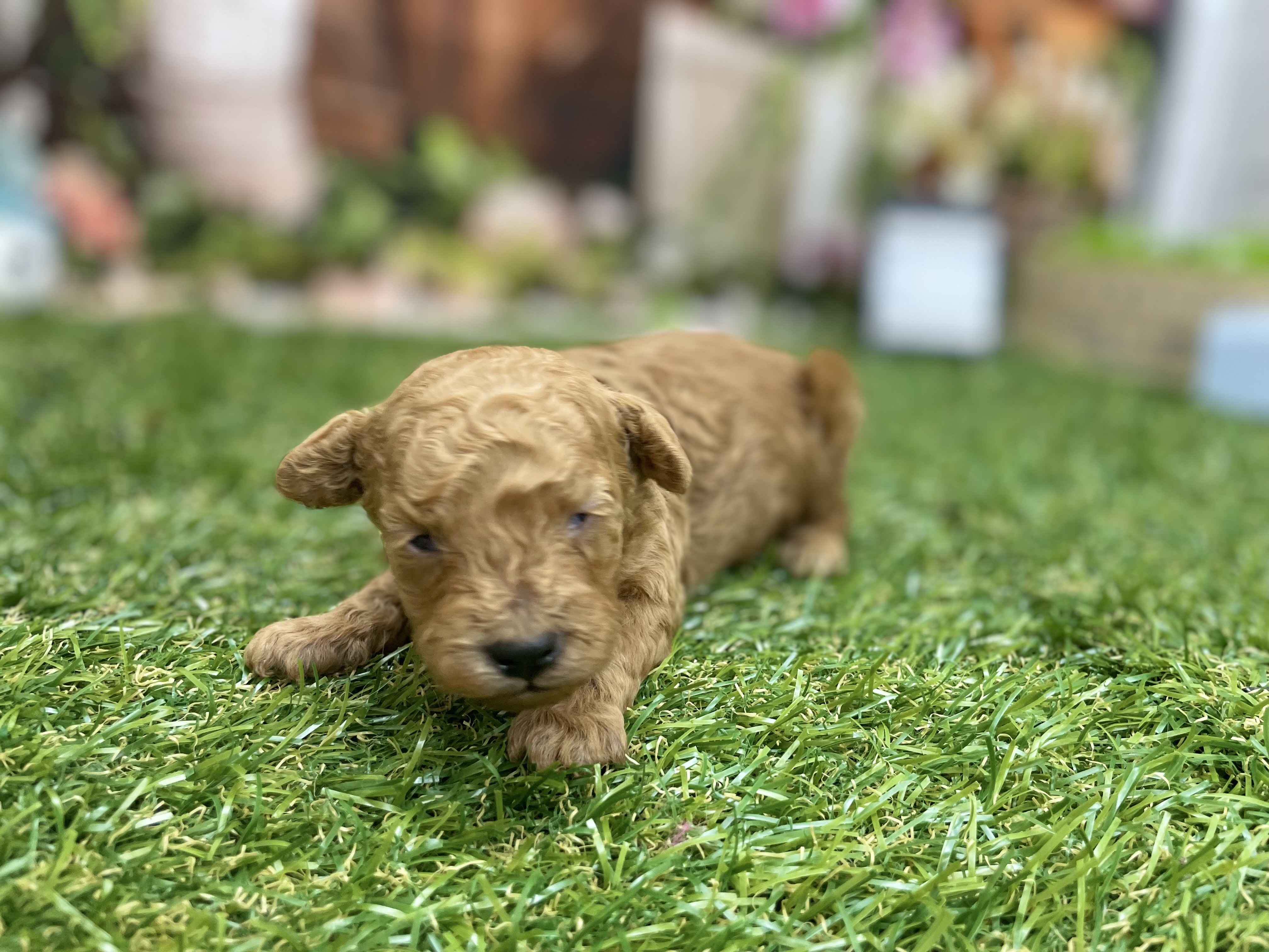 赤ちゃん写真1-2