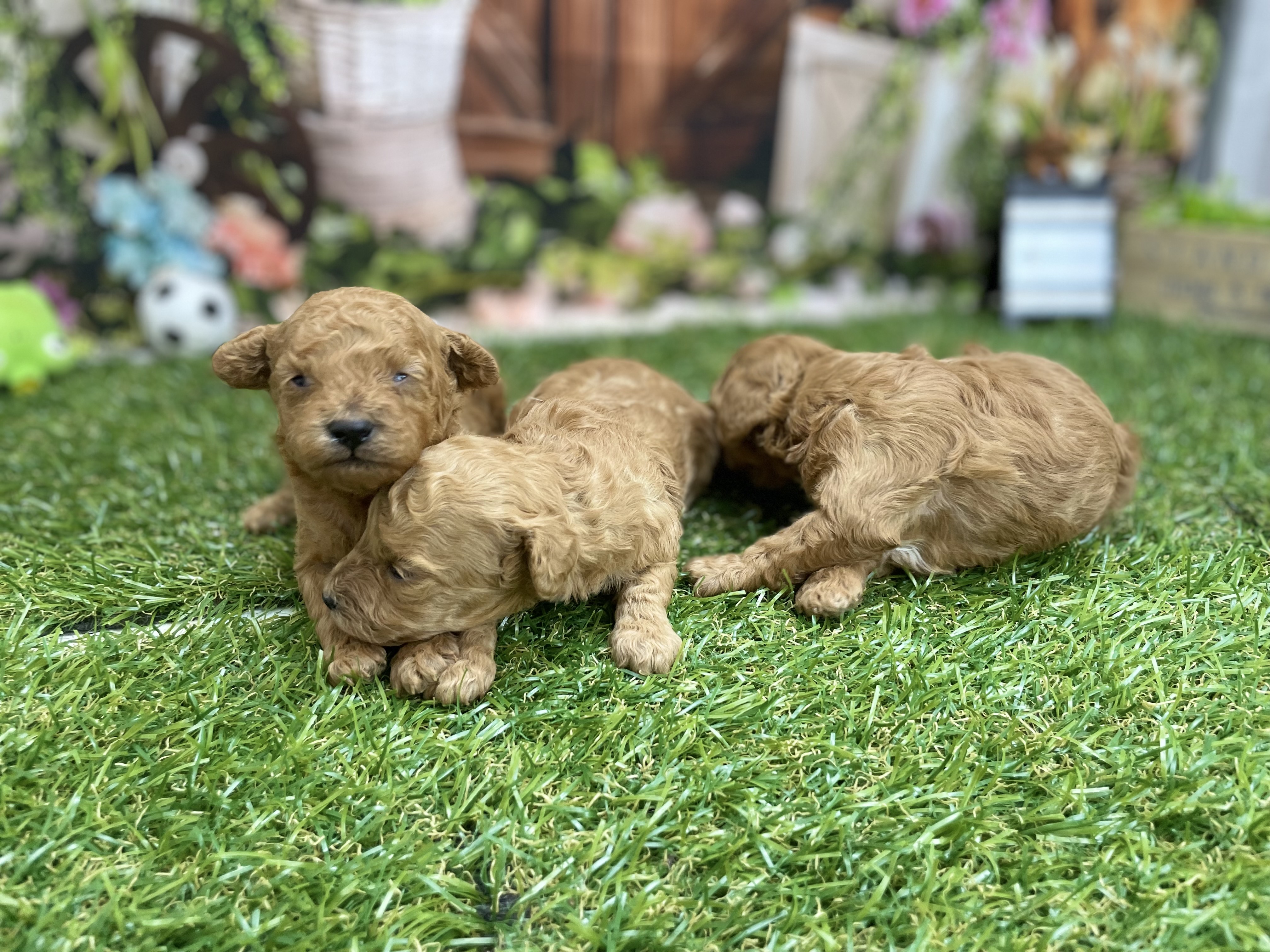 赤ちゃん写真1-3