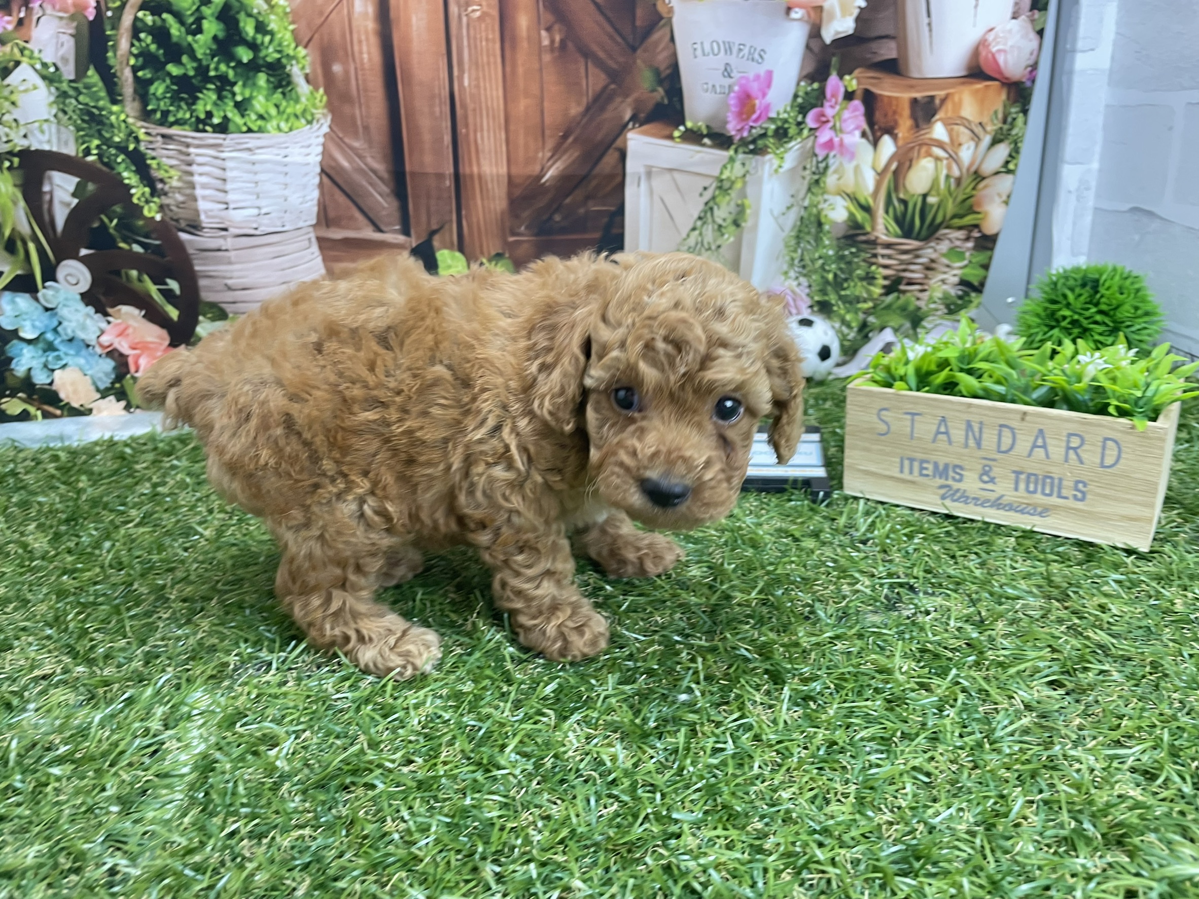 赤ちゃん写真2-1