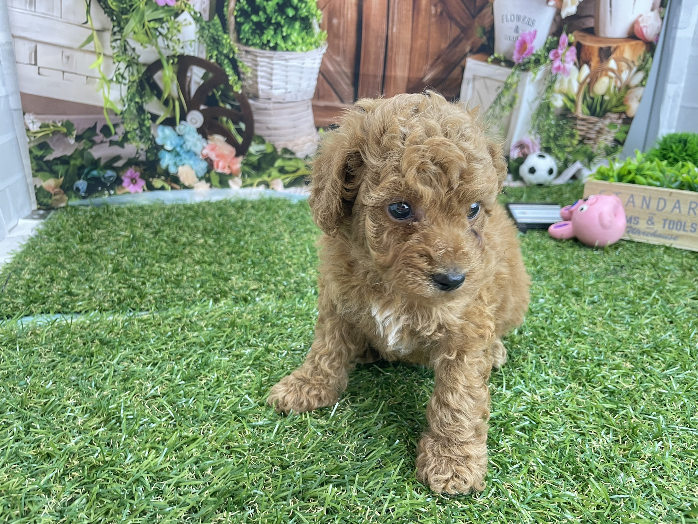 赤ちゃん写真2-2