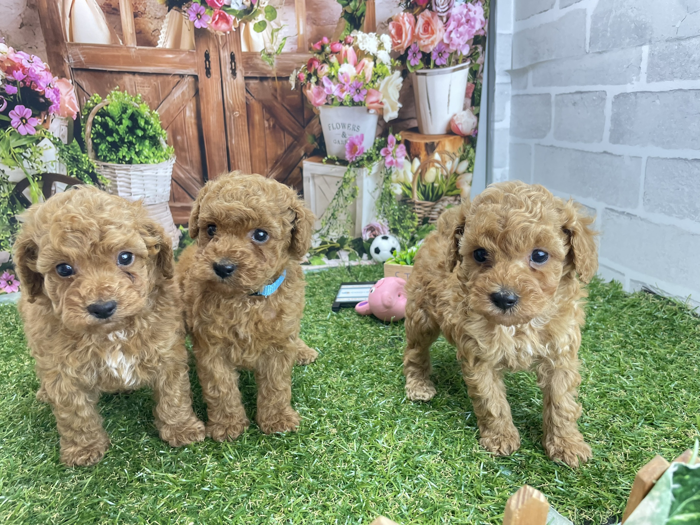 赤ちゃん写真2-3