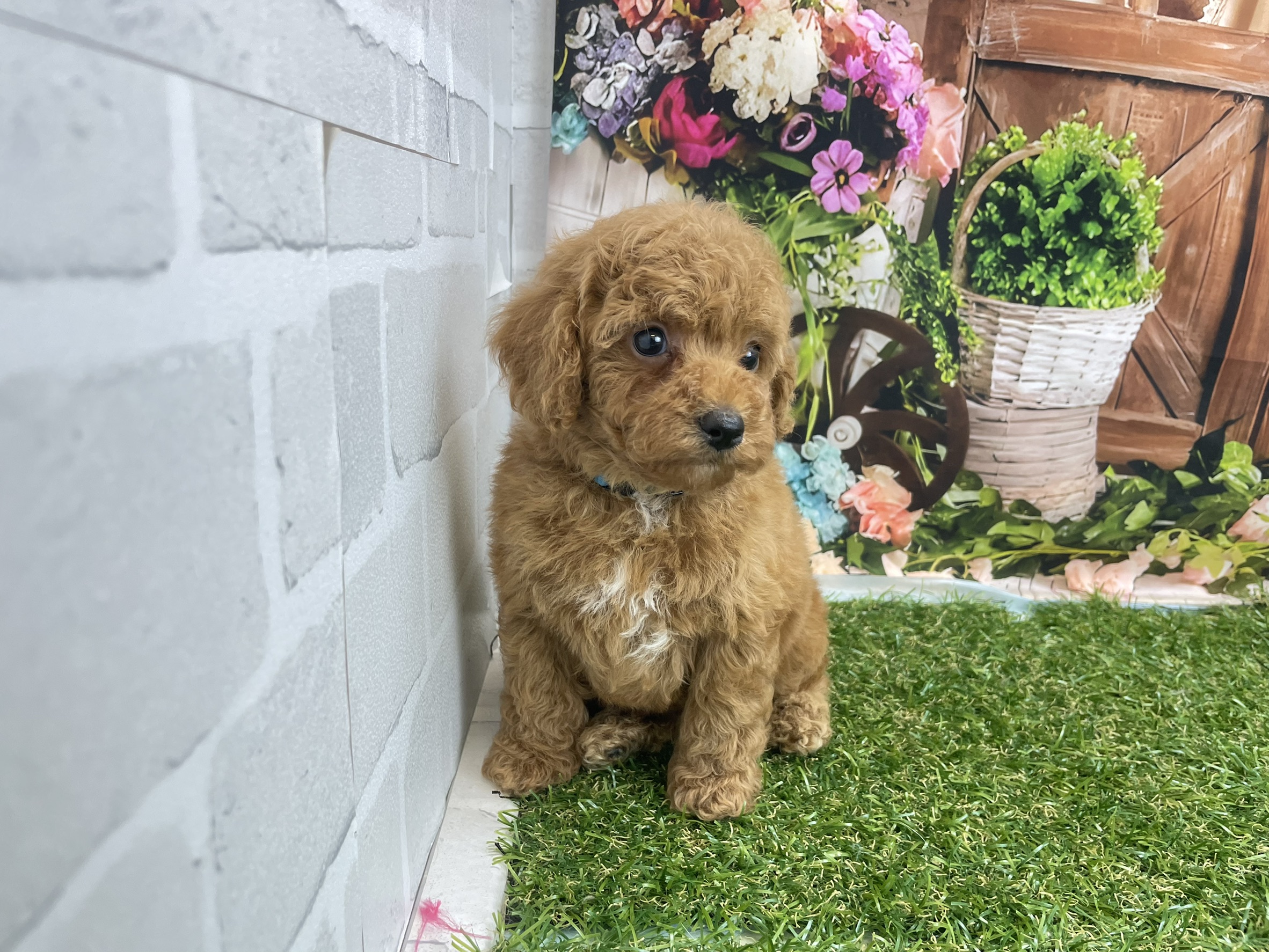 赤ちゃん写真3-2