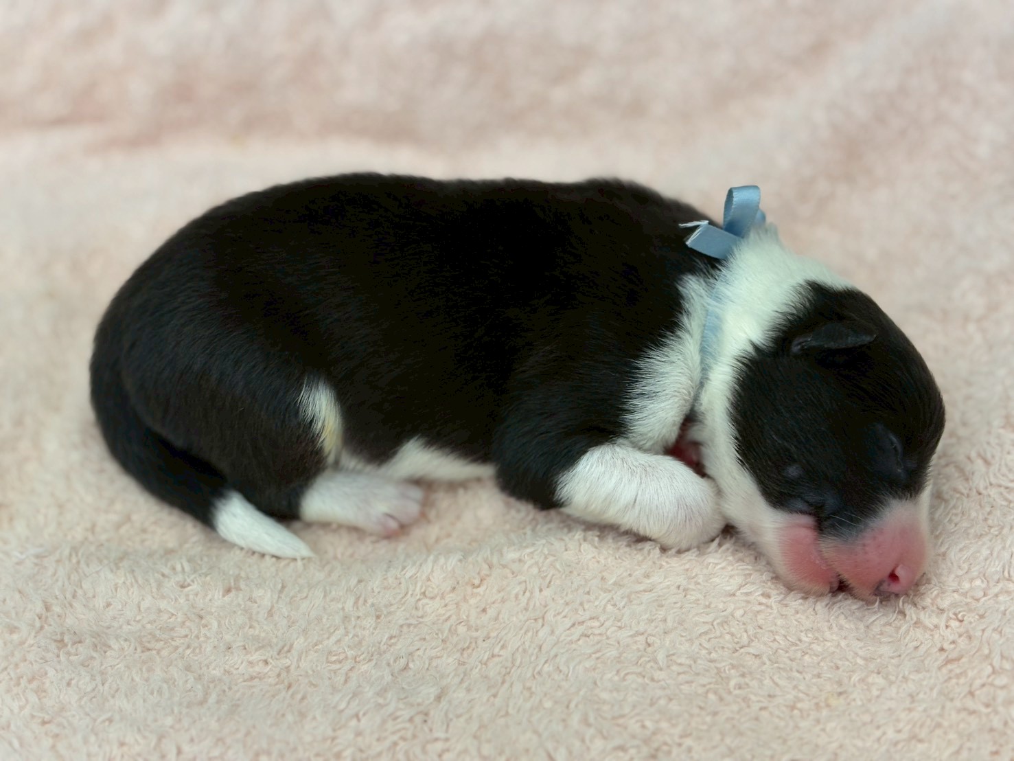 赤ちゃん写真1-2