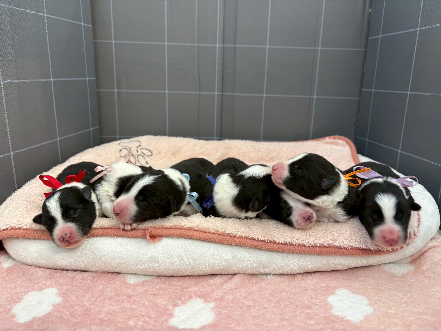 赤ちゃん写真1-3