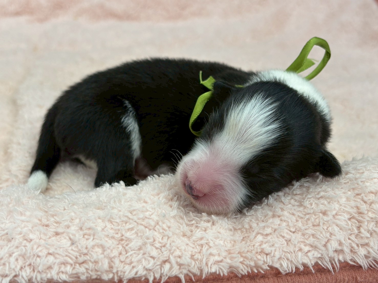 赤ちゃん写真1-1