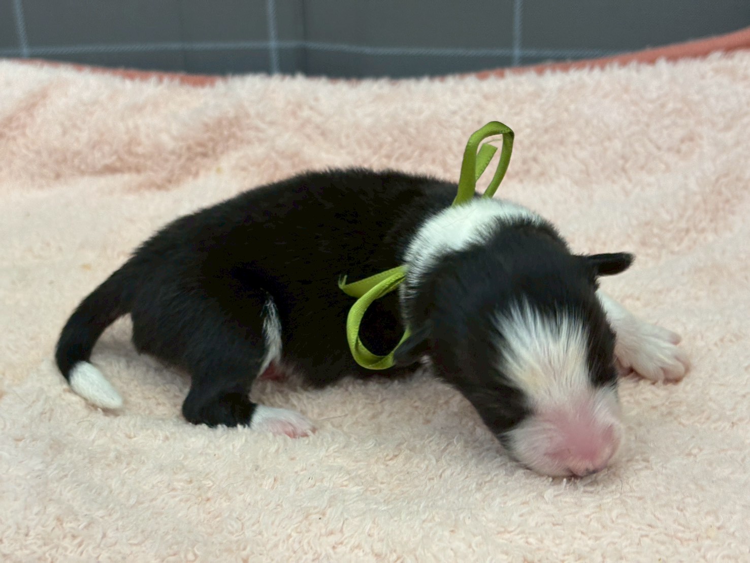 赤ちゃん写真1-2