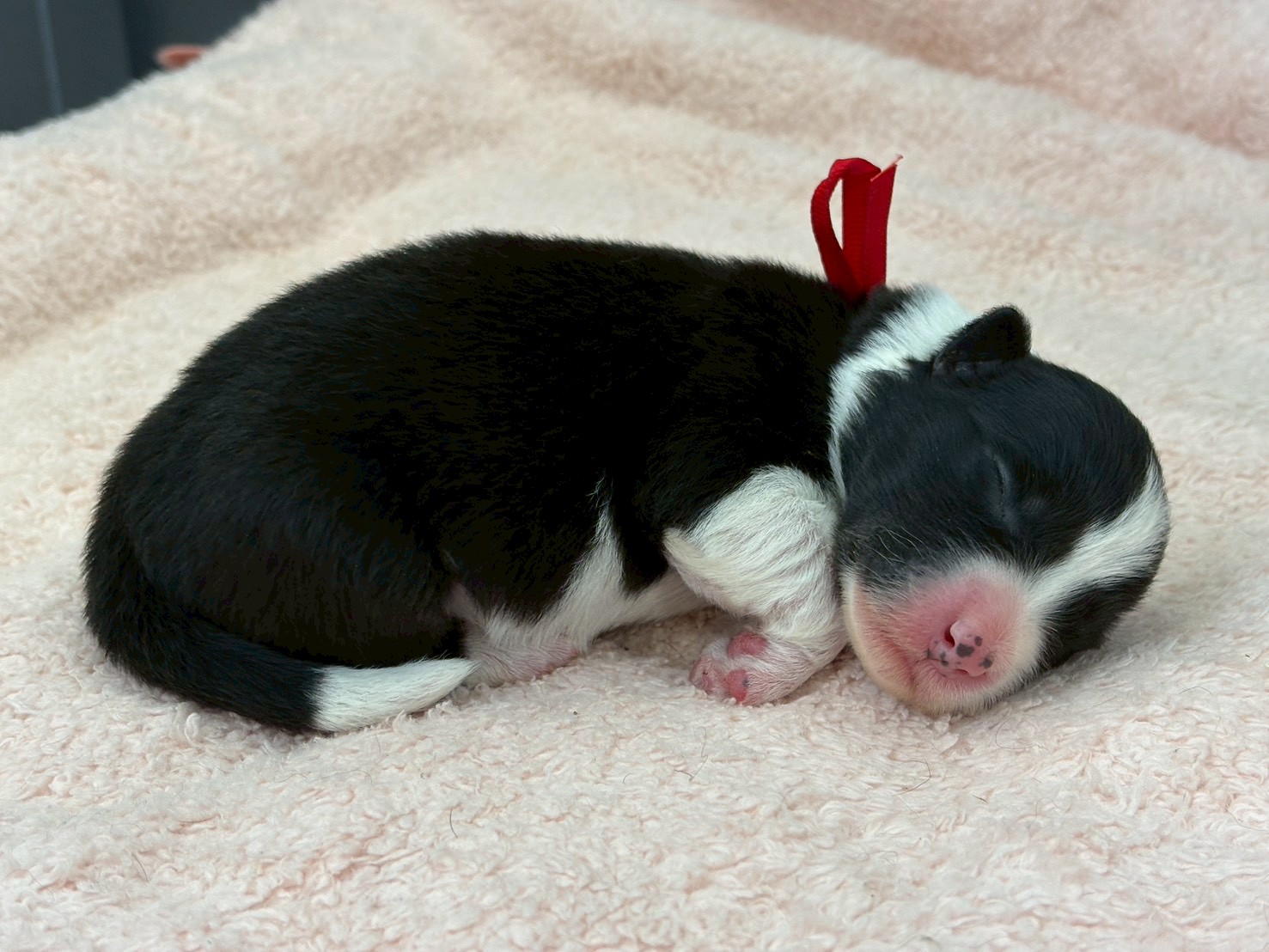 赤ちゃん写真1-2