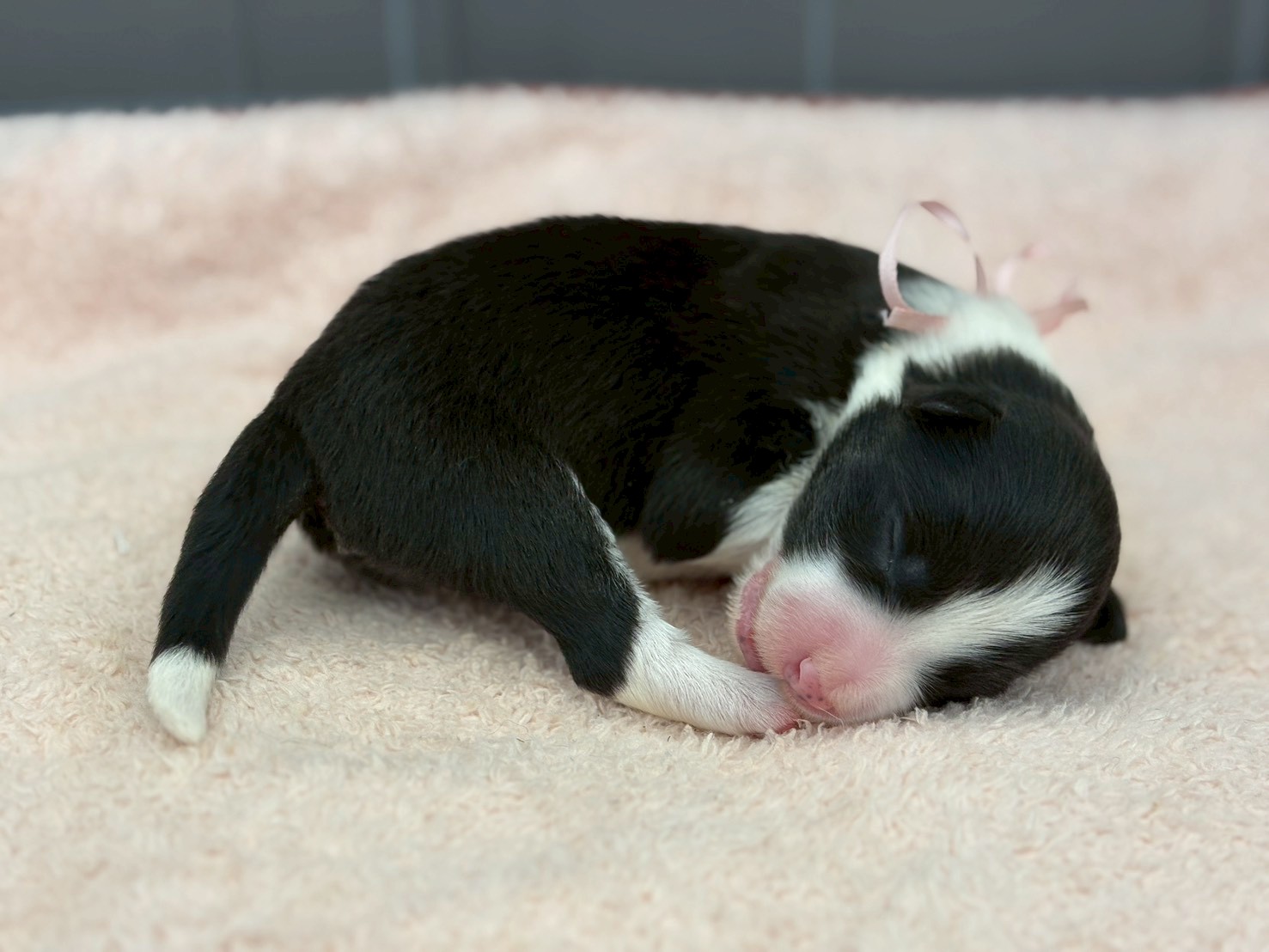 赤ちゃん写真1-2