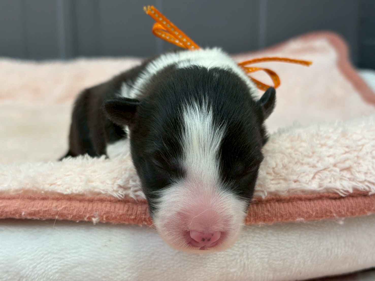 赤ちゃん写真1-1