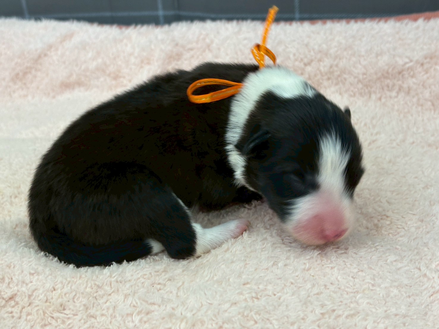 赤ちゃん写真1-2