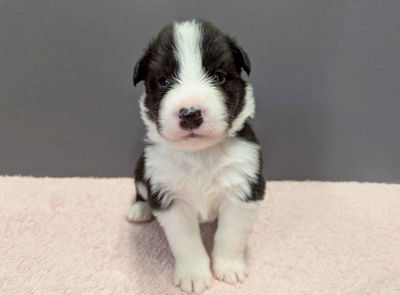 赤ちゃん写真2-1