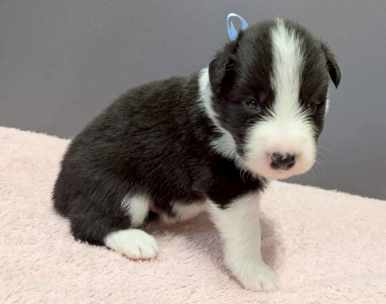 赤ちゃん写真2-2