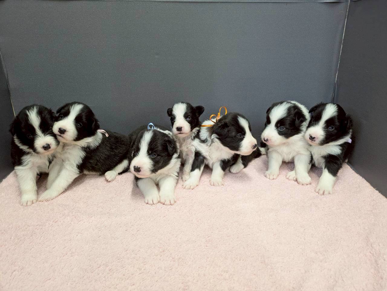 赤ちゃん写真2-3