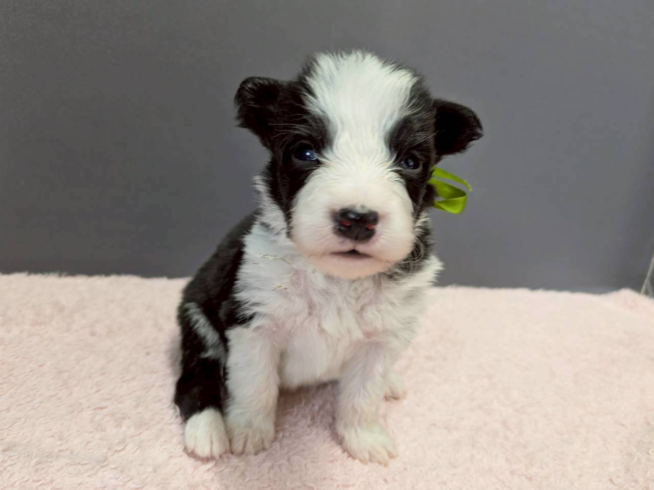 赤ちゃん写真2-1