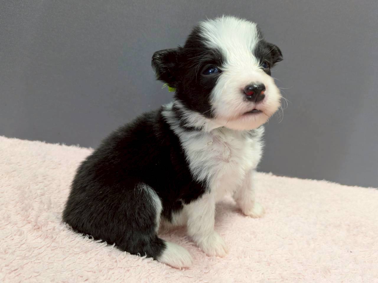 赤ちゃん写真2-2